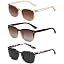 B3 Transparent Brown+brown/Brown+leopard/Grey(3 Pack)