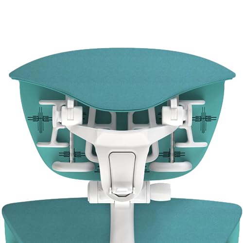 OFFICE LOGIX SHOP Embody Headrest Compatible with Herman Miller Embody Chair (Galaxy Fabric/White Frame)