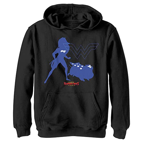 Pull à capuche pour enfant Wonder Duo DC Comics en molleton confort