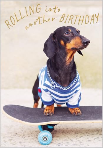 Abacus Cards Funny Birthday Card - Happy Birthday Card with Humorous Skateboarding Dachshund Dog Design and Embossed Foil Details - Birthday Card for Women, Men, Friends