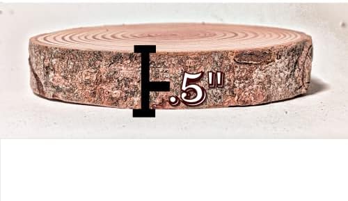 Miniatura 3 de Woody's Craftshop - Rodajas de madera natural, 32 piezas, 2-2.5 pulgadas x 0.5 pulgadas, pino sin terminar con borde vivo, lienzos para adornos