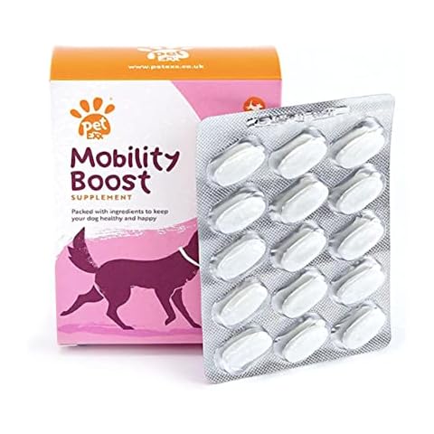 PetExx Mobility Boost - Senior pet supplement for cats and dogs with arthritis and joint problems with green lipped mussel, turmeric, Omega 3, glucosamine & MSM - 60 tablets UK manufactured Cover