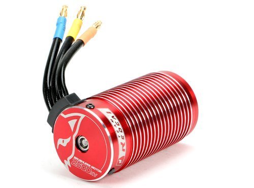 Amazon.co.jp: Team Redcat 2500KV ブラシレスモーター (14.8V