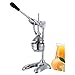NBSY Estrattore di Succo, Estrattore di Frutta, Slow Juicer, Frullatore; Rapida velocità di Estrazione del Succo, Elevata resa in Succo. Adatto per casa, Ufficio, Uso Commerciale