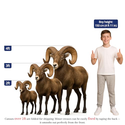 Image of Bighorn Sheep 4FT Life Size Cardboard Cutout - A Fun Animal Standup for Photo Booths, Birthday Parties, and Events