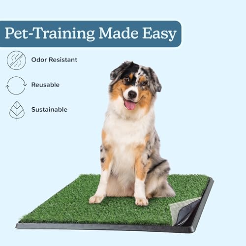 Image of Artificial Grass Puppy Pee Pad for Dogs and Small Pets - 20x25 Reusable 4-Layer Training Potty Pad with Tray - Dog House and Pet Supplies by PETMAKER