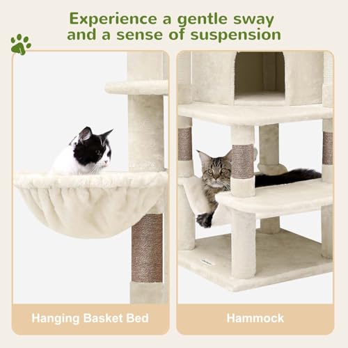 Arbre à chat pour grand chat avec hamac et panier stable Globlazer C66