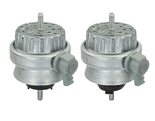 Montaggio Del Motore Meyle 100 199 3004/S - 3