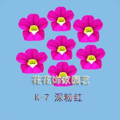 Garden Petunia, Petunia Seeds, Flower Seeds Petunia - 20 Semillas/lote Cover