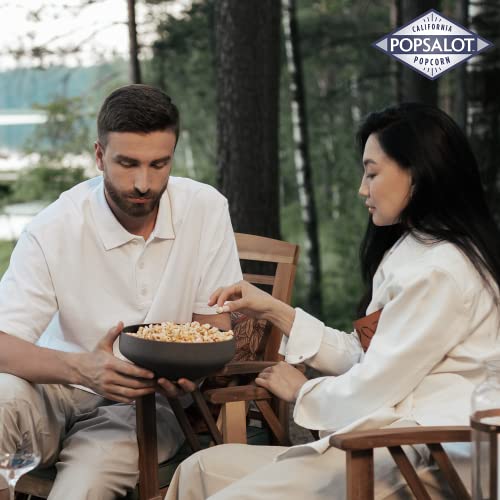 Popsalot - Gourmet Popcorn | Flavored Popcorn | Oven-Baked | Kettle Corn | Gluten-Free | Air-Popped | Oil-Popped (Saigon Cinnamon Kettle Corn, Pack Of 6) #TOP6