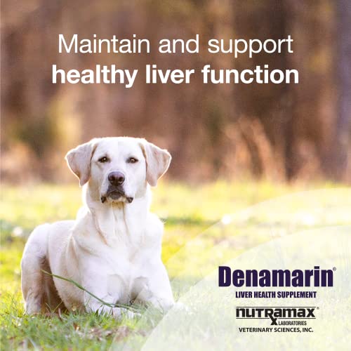 Nutramax Denamarin for Dogs, Liver Health Supplement with S-adenosylmethionine (Same) Plus Silybin, Liver Support for Dogs, Chewable Tablets, 75 Count (Pack of 2) - image 2