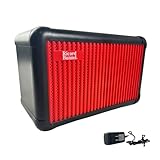Ricard Bunnel Professional Violin Amplifier-Violin Amp