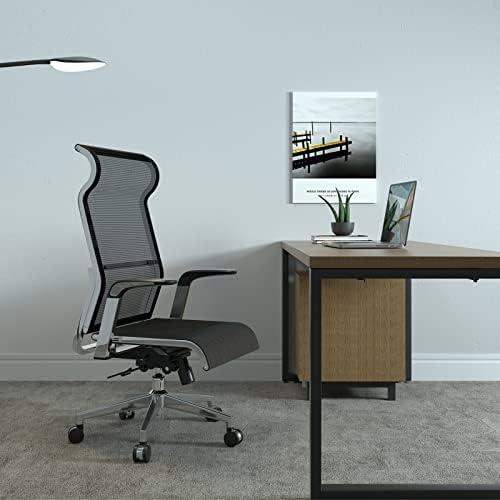 SIHOO Ergonomic office Chair, with Large Headrest Armrest Double-layer Breathable Mesh Executive Office Chair, Adjustable Tilt Angle Home Office Chair, Durable Metal Frame Office Chair (Black)