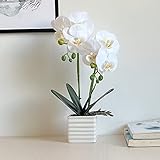 Artificial Orchids for Home Decor Indoor Silver Vase Orchids Artificial Flowers(White