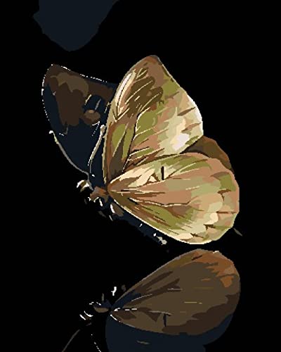 Pintura de diamantes 5D para adultos con diseño de mariposa en espejo de 30x40 cm