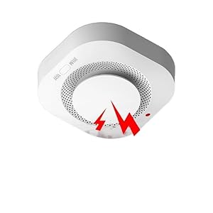 Ayjyzhiag Rauchmelder