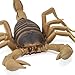 Safari Ltd. Scorpion Figurine - Realistic 7.5