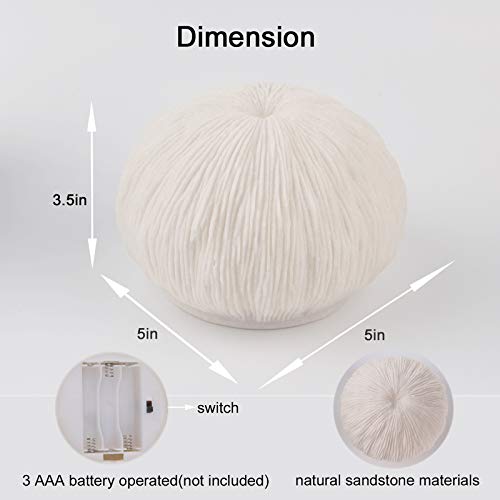 Greenic Ribbed Coral Yellow Night Light Beach Decor With Timer, Sandstone Texture, Battery Operated For Party, Birthday, Indoor, Bedroom, Living Room, House, Home Decoration (Warm White) #TOP5