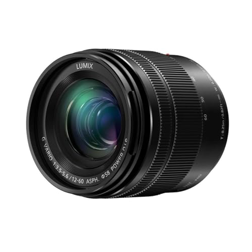 Panasonic Lumix G Objektiv, 25 mm, F1.7 ASPH., spiegellose Micro Four Thirds, h-h025 K (USA schwarz)