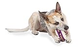 PetSafe Busy Buddy Ultra Sub Dog Toy, Medium