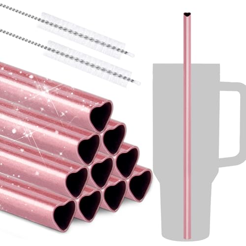 Pailles en acier inoxydable NiHome avec 2 brosses pour ne plus jamais manquer d'accessoire - 2