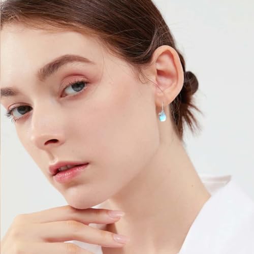 Image of TIGER RIDER Bee /Butterfly /Scorpion /Cactus /Leaf /Beetle 925 Sterling Silver French Clasp Leverback Earrings Amber /Crystal /Citrine /Moonstone /Obsidian /Jade /Rose quartz Pendant Jewelry Gift for Women