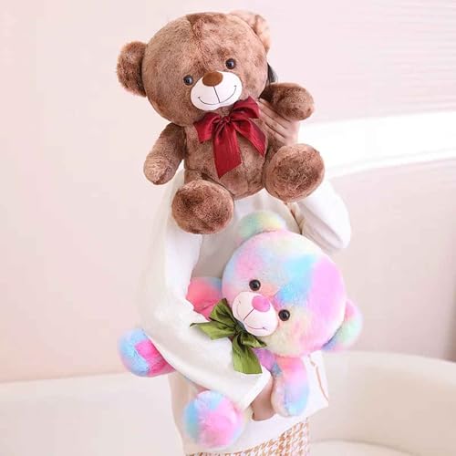 Image of DearJoy Rainbow Teddy - 30cm