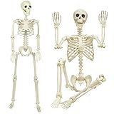4 pack esqueletos de decoración para Halloween o Día de Muertos en su precio más barato + cupón adicional MOYAC Esqueleto Realista de Halloween, Esqueleto de Halloween de 2.95 Pies / 90 CM, Articulaciones Movibles, Decoración...