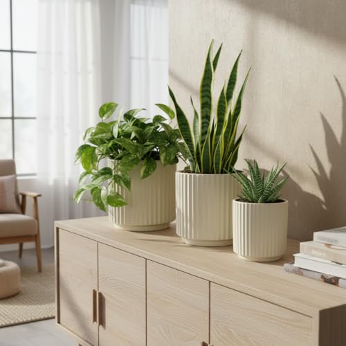 Image of Xtore Atelier Ceramic Ribbed Planter Set | Minimal Vertical Groove Plant Pots for Home, Office & Living Room Decor - (Set of 3, Beige,Planter ONLY)