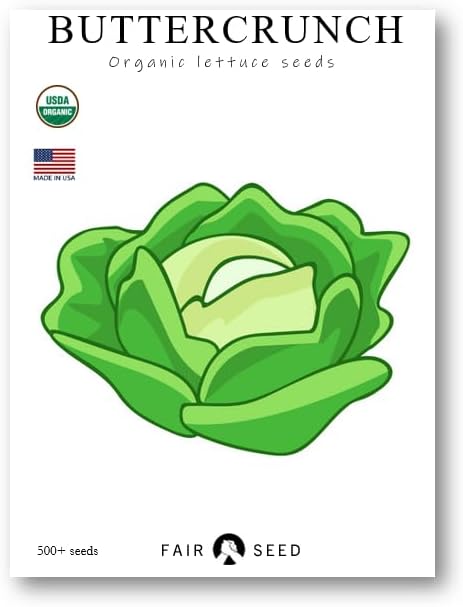 Semillas de lechuga orgánica Buttercrunch más de 500 semillas