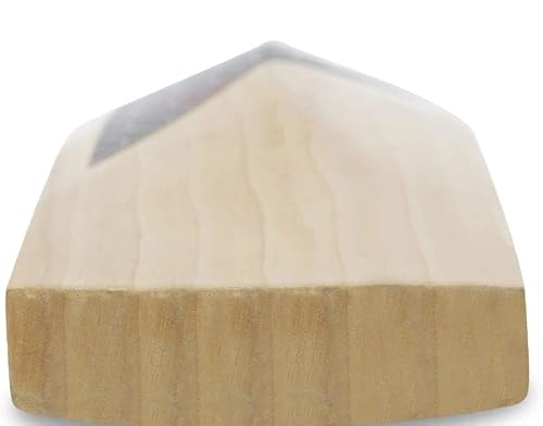 Sg Maxstar Classic Premium English Willow Cricket Bat - Short Handle, Adult Size #TOP4