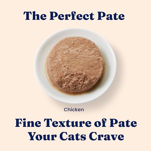 Image of Solid Gold Wet Cat Food Pate for Kittens - Healthy Canned Cat Food Pate w /Real Chicken, Superfoods, Omega Fatty Acids, & Vitamins - Grain Free & Gluten Free Can Meals for Kittens - 24ct /3oz Can