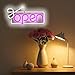 Beauty Salon OPEN Neon Sign - Pink & Cold White LED Light for Hair Shop, Nail Salon, Beauty Parlor Decor, Shatterproof & Waterproof, USB Powered Grand Opening Gift