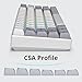 surmen CSA Profile 118 Keys Double-Shot PBT Keycap Custome Keycaps for 61/68/84/87 Mechanical Gaming Keyboard (Grey)
