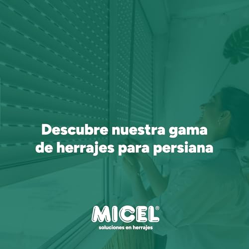 Micel Vega 90015 Kehrschaufel, 14 mm, mA