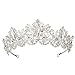Sppry Women Tiara - Baroque AB Crystal Crown for Bridal Queen Princess Girls at Wedding Birthday Pageant Party (Silver)