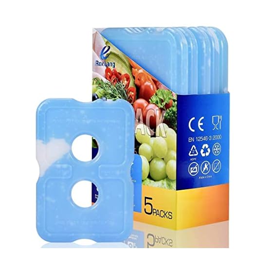 REV. LANG Cold Ice Pack Brick Reusable Long Lasting Cool Slim Thin Freezer Pack Cooler for Lunch Boxes Bag(200g,Set of 5)