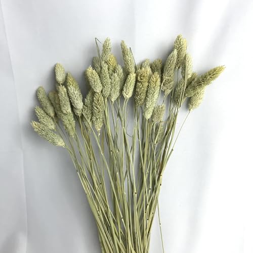 Decoración con pasto pampas seco, 50 unidades, estilo 9 miniatura 1