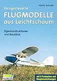 Ferngesteuerte Flugmodelle aus Leichtschaum: Eigenkonstruktionen und Bausätze