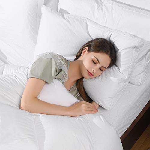 Basic Beyond Goose Feather Down Pillows, Queen Size Set Of 2 Feather Pillows, Hotel Pillows For Sleeping, 18" X 28" #TOP5