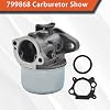 labwork 799868 Carburetor Replacement for Briggs Stratton 498170 497586 498254 497314 497347 497410 799872 790821 498255 498966 698444 Carb Replacement for Briggs Stratton 14111
