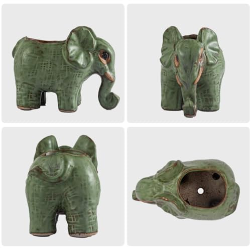 Pot animal en céramique avec drainage pour éviter l'excès d'eau - 4