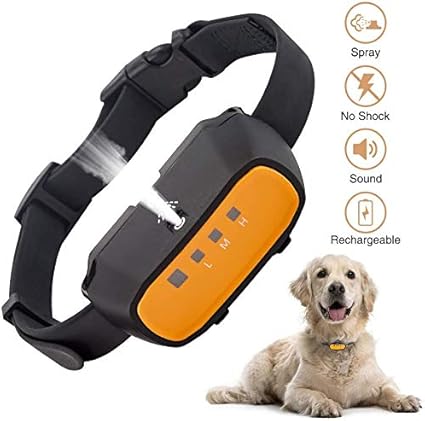 corteccia e collare di addestramento