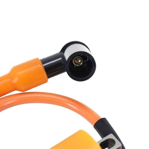 cyclingcolors Zündspule motorrad moped roller mofa kompatibel mit mbk booster mach g nitro ovetto stunt yamaha aerox bw’s jog r neos slider beta rr rieju mrt