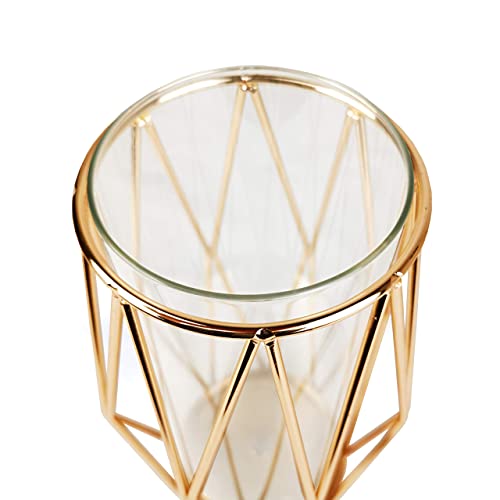 FSyueyun Gold Flower Vase Decorations for Living Room Glass Vase with Metal Holder, Modern Large Vases for Flowers as Wedding Home Office Centerpiece (11Inch)