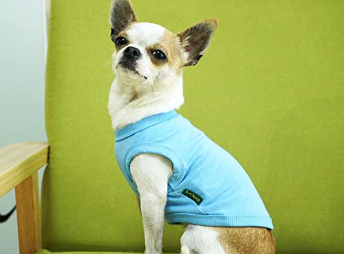 Sychien Dog Blank Blue Shirt,Boy Girl Dogs Medium Tee Shirts,Plain French Bulldog T-Shirt,M Blue Royal #TOP3