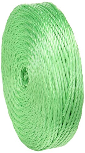 �M�z�H�� �Ђ� ���� �ב���p SK�p���[���[�v No6 �� 6mm×200m