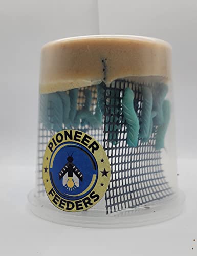 Live Hornworm Cup (25-35 Count) | UPS Shipping | for Bearded Dragons and Reptiles | Live Arrival Guarantee - Image 4