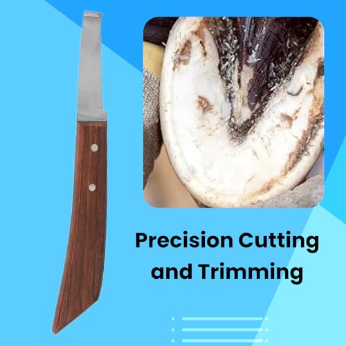 Image of Hoof Knife Single Sided Edge Wide Straight Blade - Stainless Steel Straight Blade Farrier Tool with Wooden Handle, Multipurpose Hoof Trimming Knife for Livestock, 3-Inch Blade, 8.5-Inch Overall
