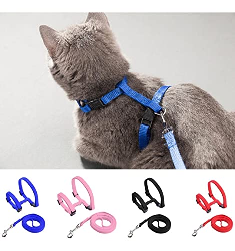 Coleira Peitoral Gato Pet Guia Com Regulagem Confortável (Único, Roxo)